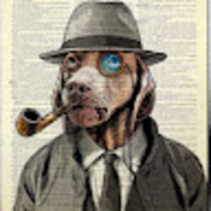 Meet your Posher, Owen